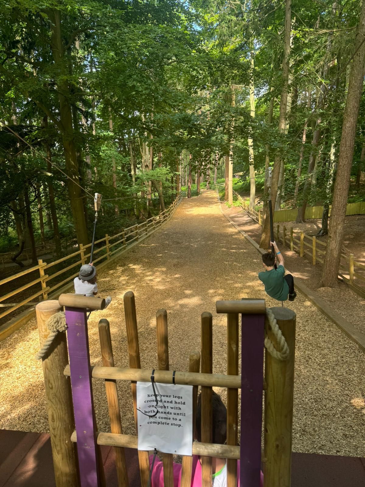 bewilderwood-202404.jpg