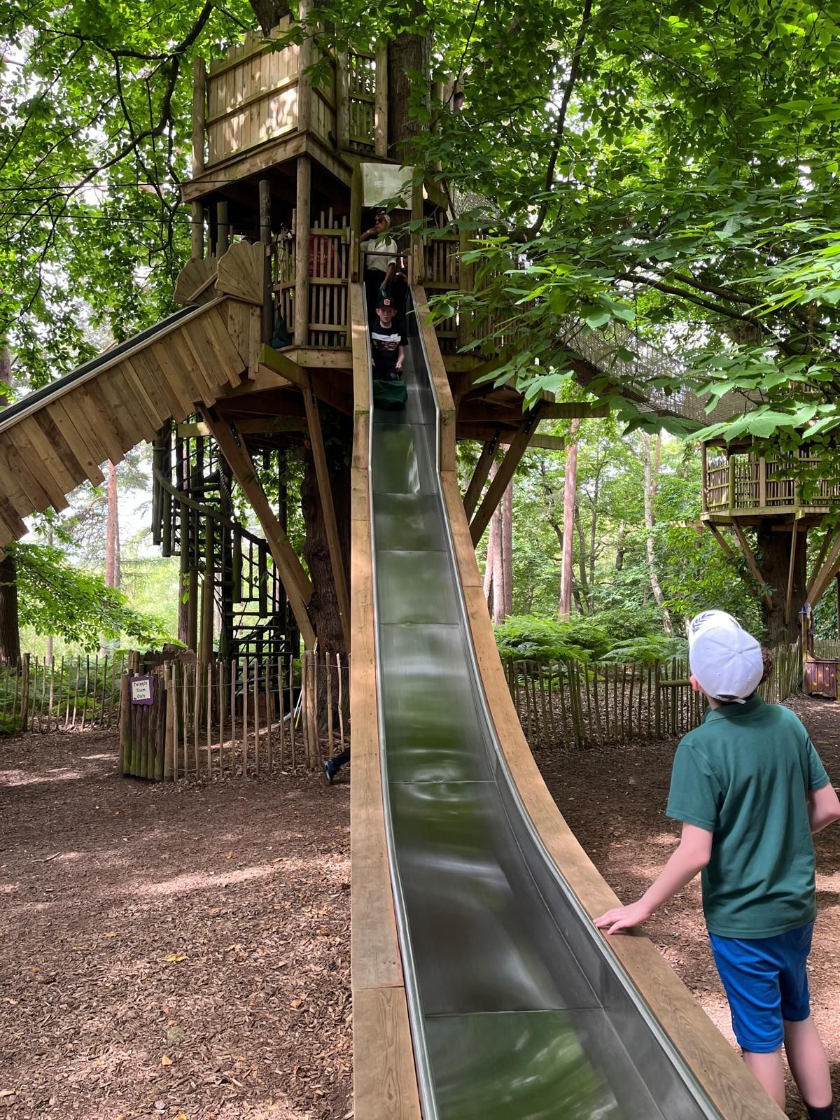bewilderwood-202406.jpg