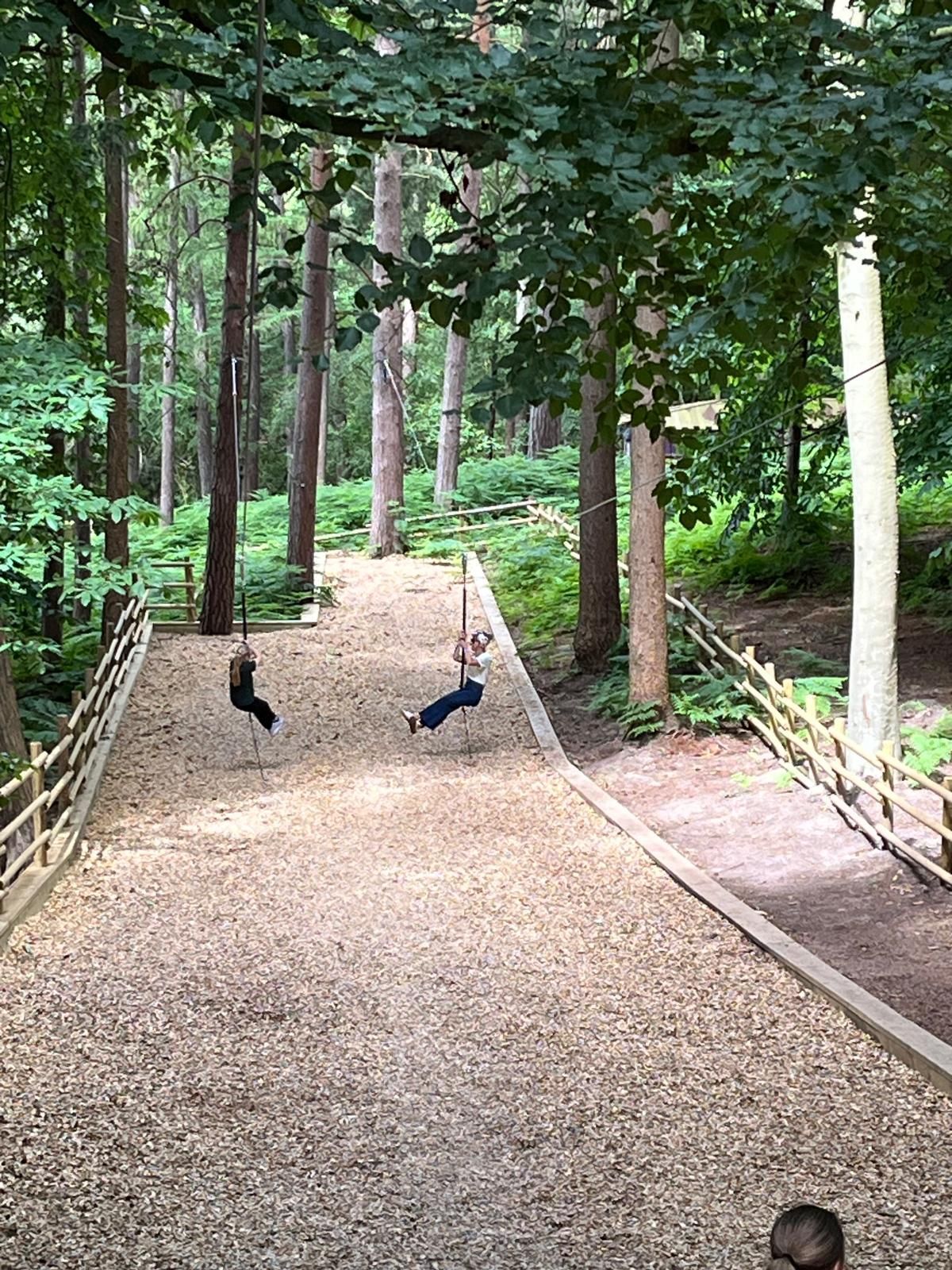 bewilderwood-202407.jpg