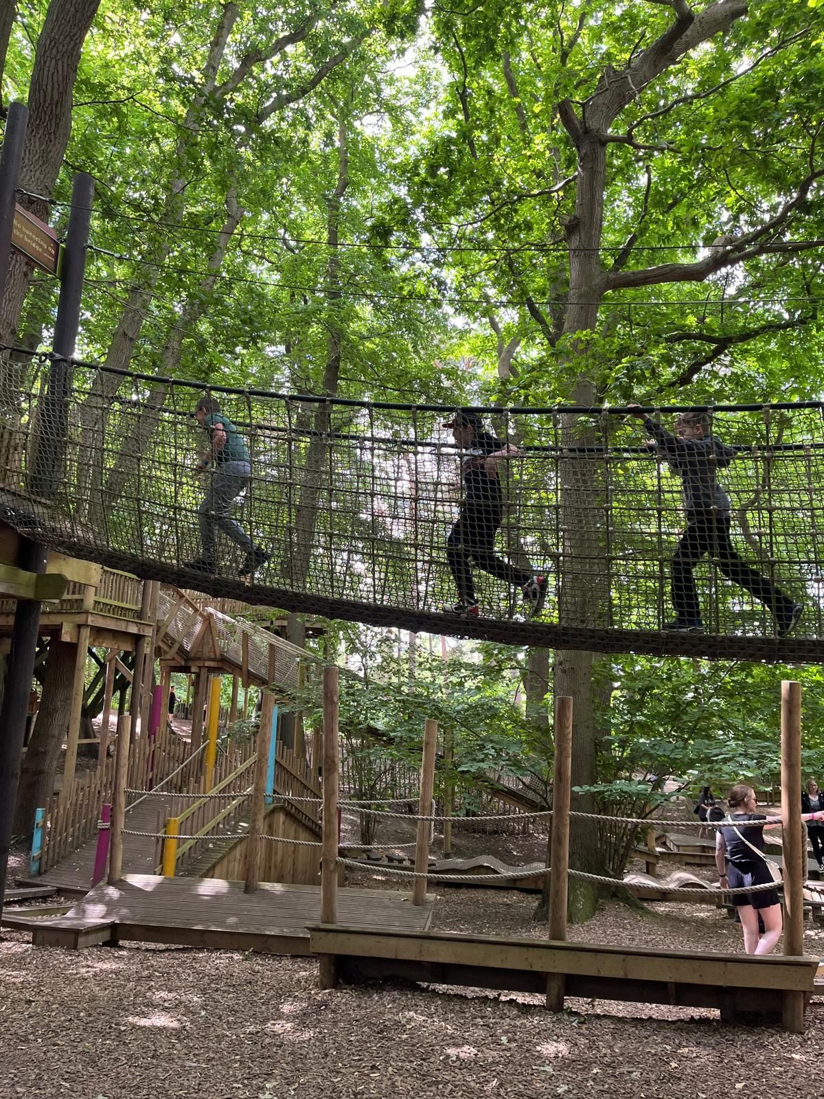 bewilderwood-202408.jpg