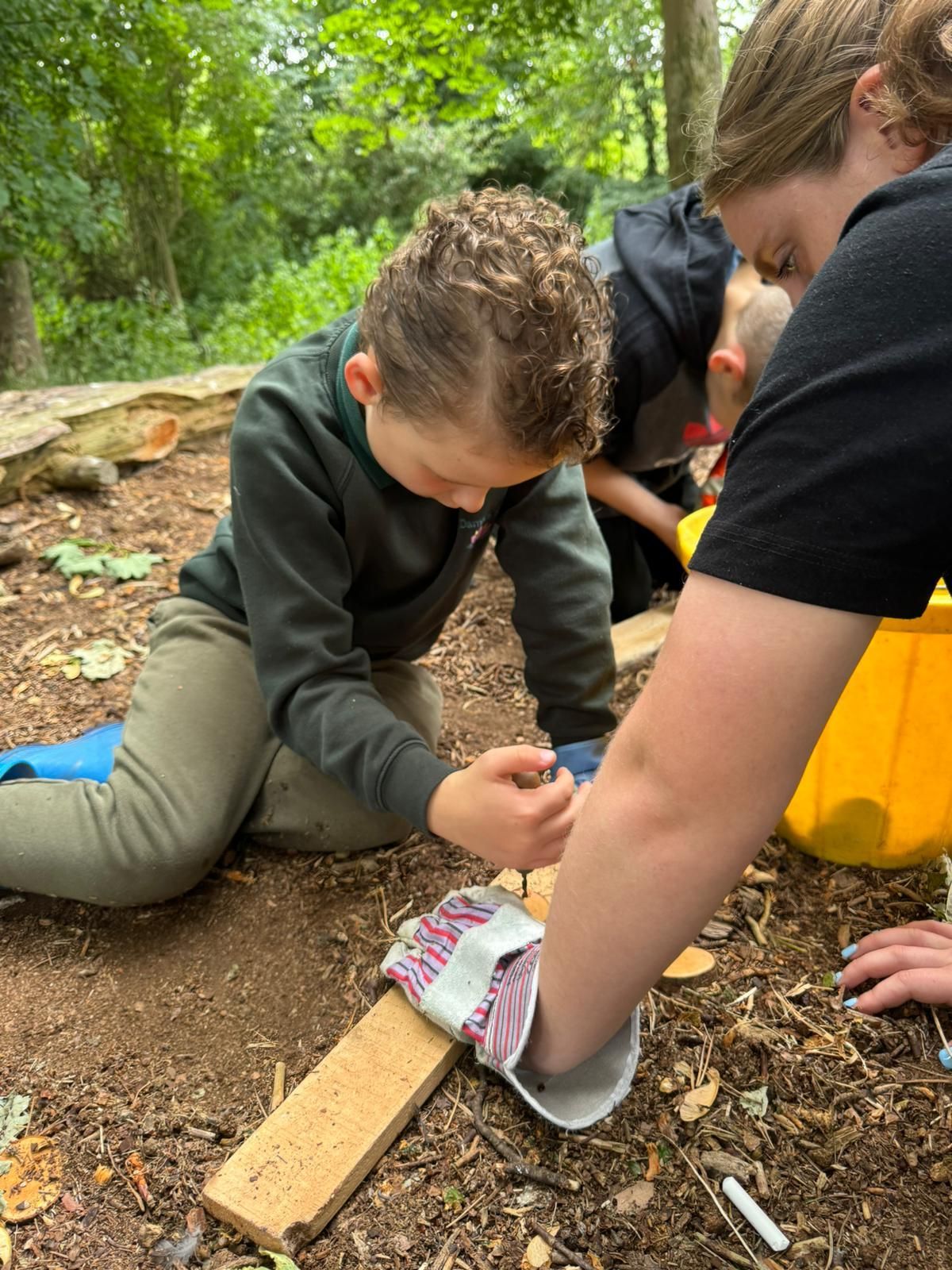 forest-school-202404.jpg