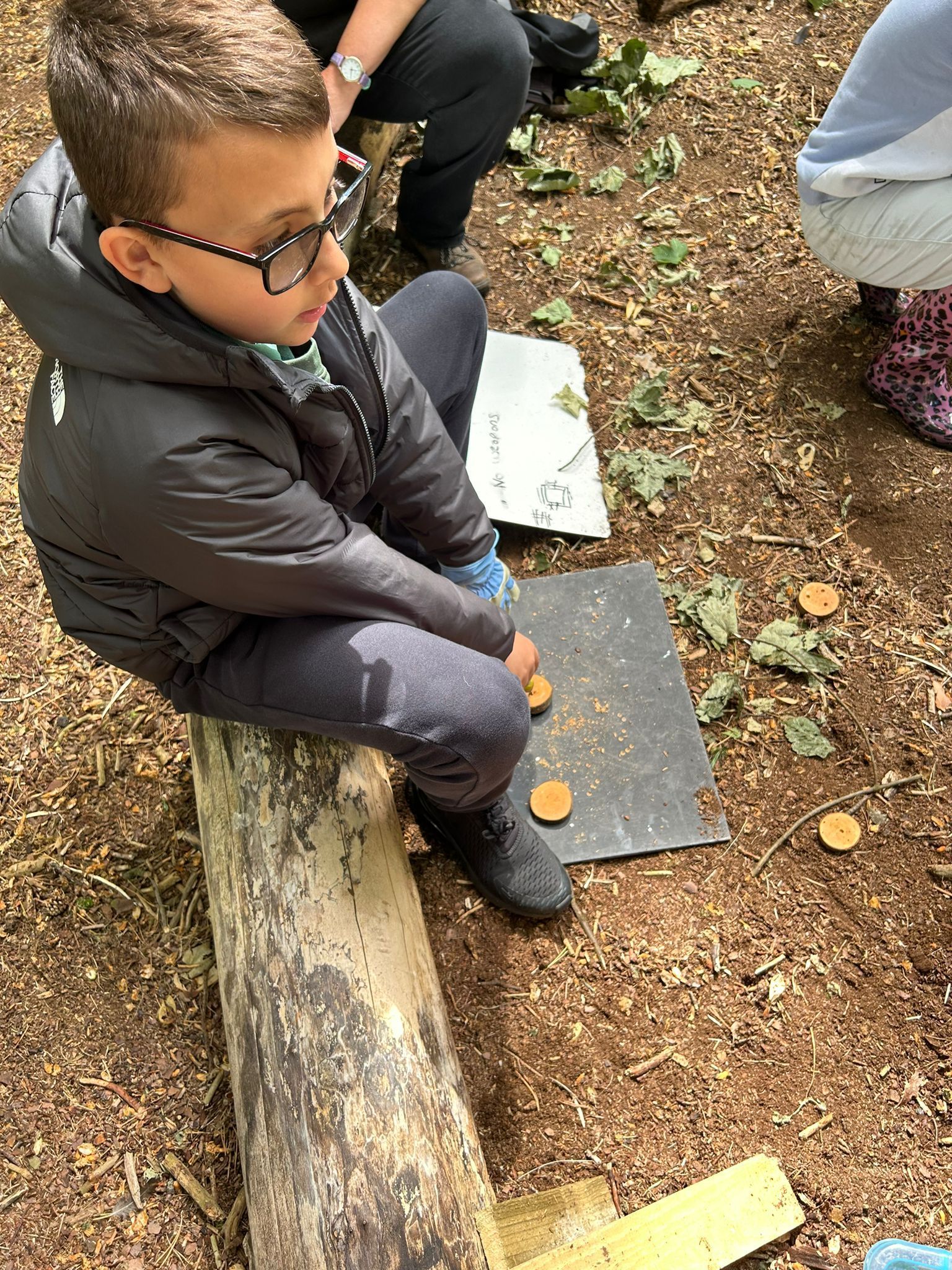 forest-school-202407.jpg