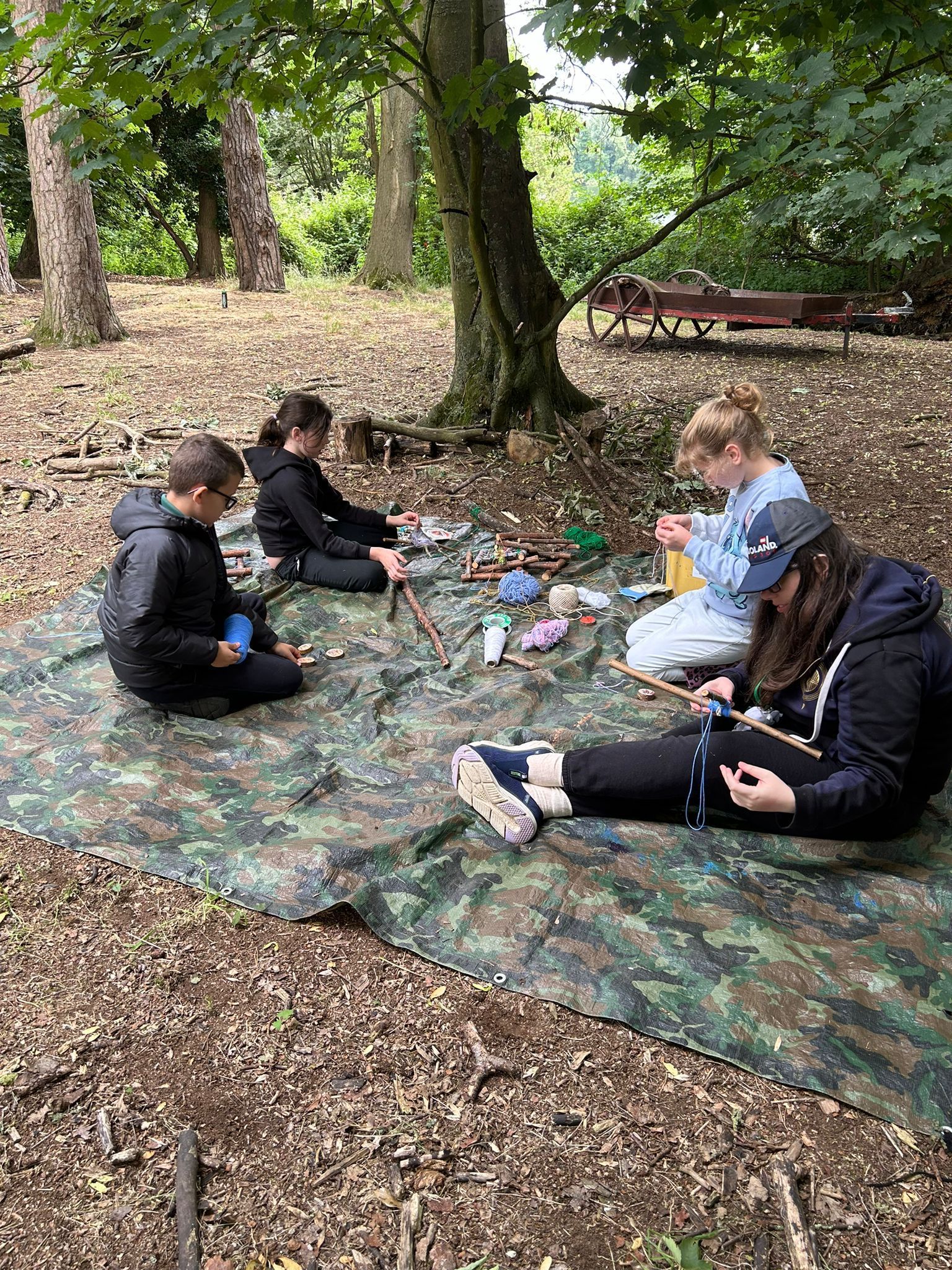 forest-school-202408.jpg
