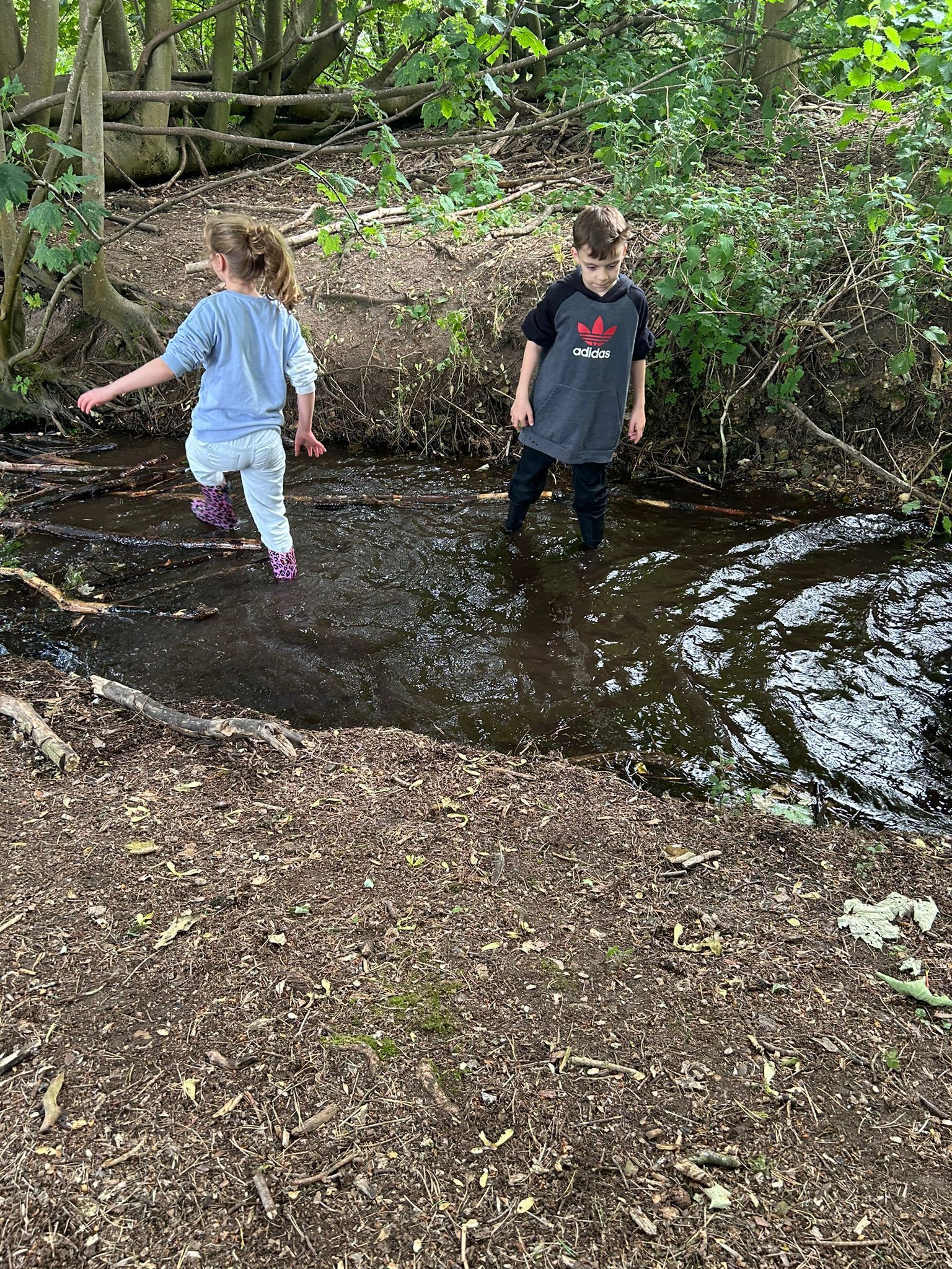 forest-school-202421.jpg