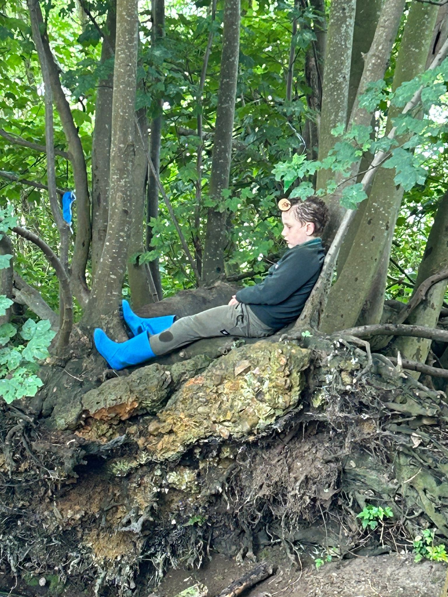 forest-school-202425.jpg